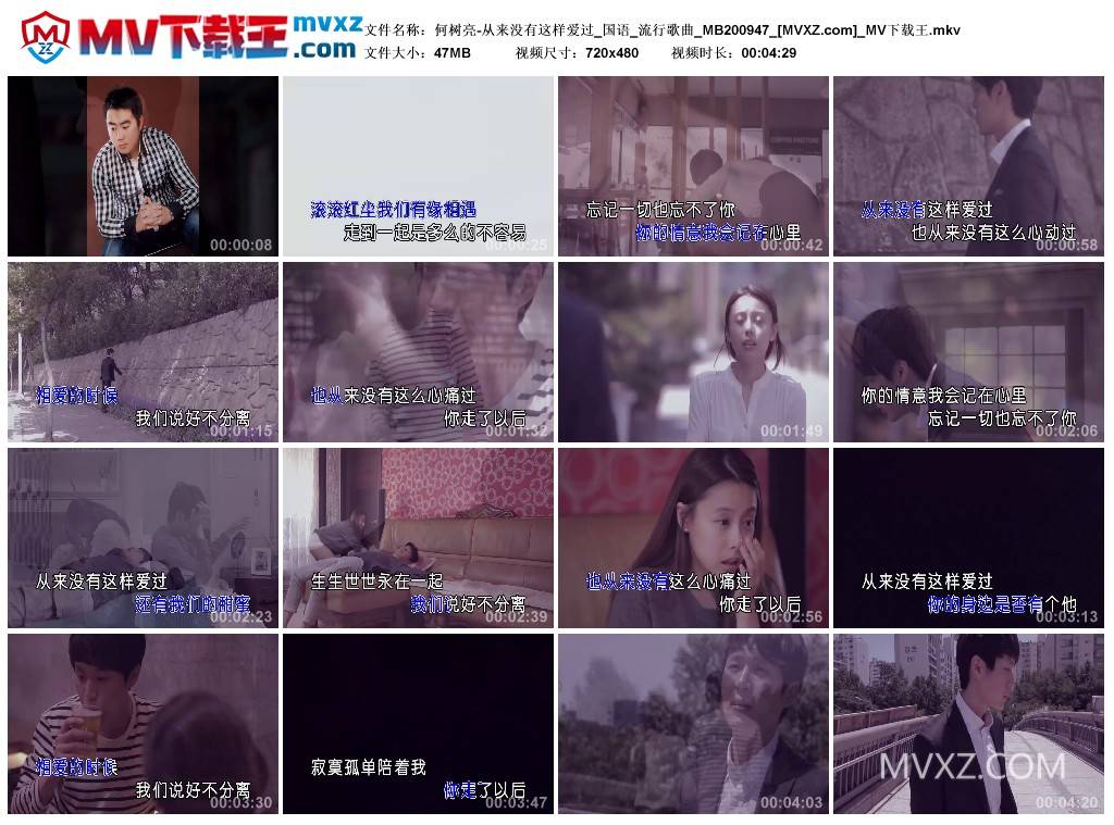 何树亮-从来没有这样爱过_国语_流行歌曲_MB200947